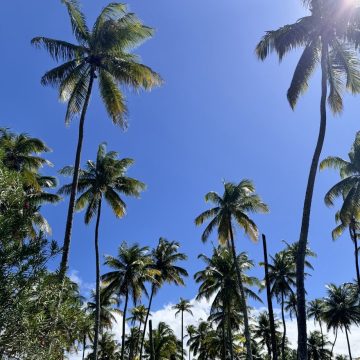 Semana em Salvador deve ter clima estável e poucas chances de chuva; Confira a previsão