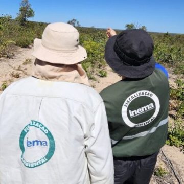 Bahia registra recorde na redução do desmatamento