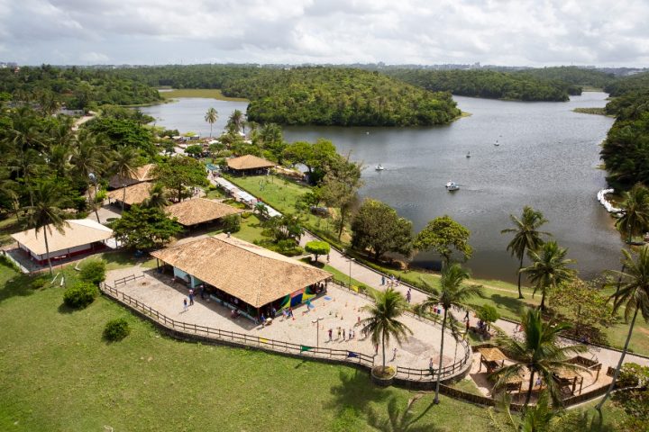 Cidade verde: Salvador aparece em segundo lugar no ranking de capitais com mais vegetação urbana