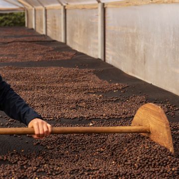 Conexão Cafés da Bahia: evento promove imersão sensorial com produtos artesanais em Vitória da Conquista