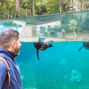 Zoológico de Salvador pode ganhar o primeiro aquário imersivo da Bahia