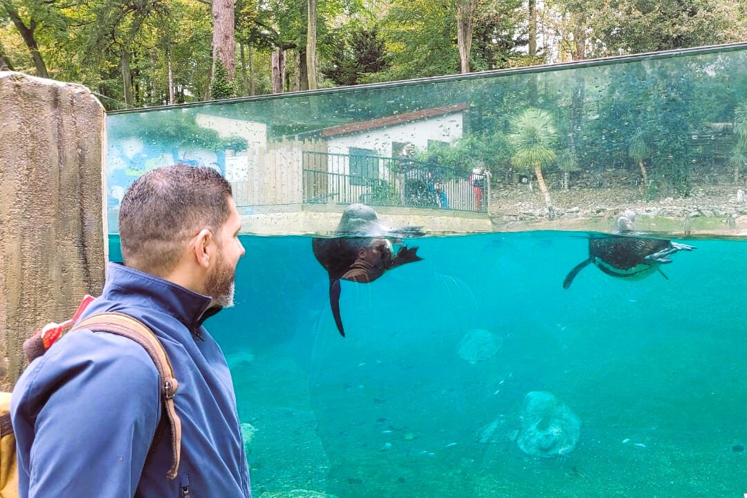 Zoológico de Salvador pode ganhar o primeiro aquário imersivo da Bahia