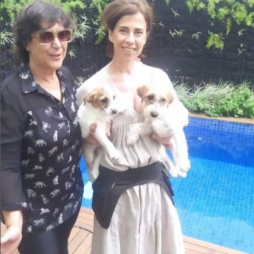 Dois cães interpretam papel de Pimpão em ‘Ainda Estou Aqui’; conheça Suri e Ozzi