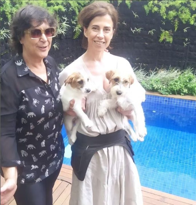 Dois cães interpretam papel de Pimpão em ‘Ainda Estou Aqui’; conheça Suri e Ozzi