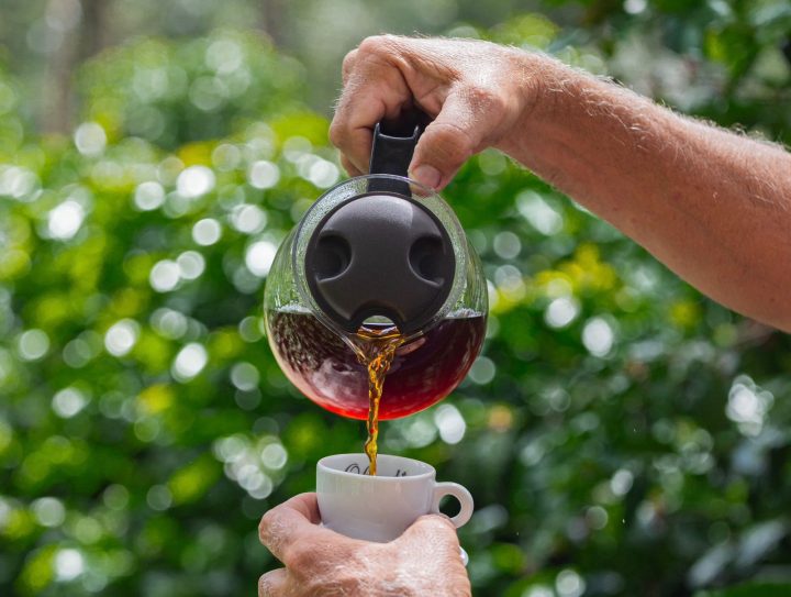 Evento gratuito no interior do estado destaca cafés e produtos especiais da Bahia