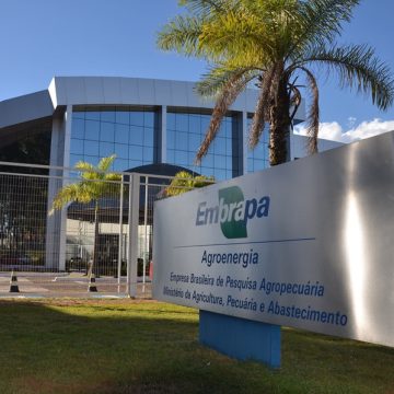 Embrapa publica edital de concurso com salários de até R$12,8 mil