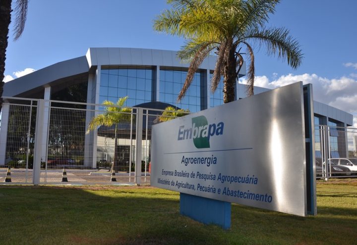 Embrapa publica edital de concurso com salários de até R$12,8 mil