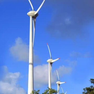 Energia eólica no Brasil alcança recordes de geração em novembro; Nordeste é destaque