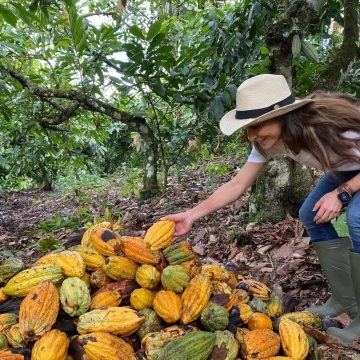 Ticiana Villas Boas assume fazenda de cacau da família, na Bahia