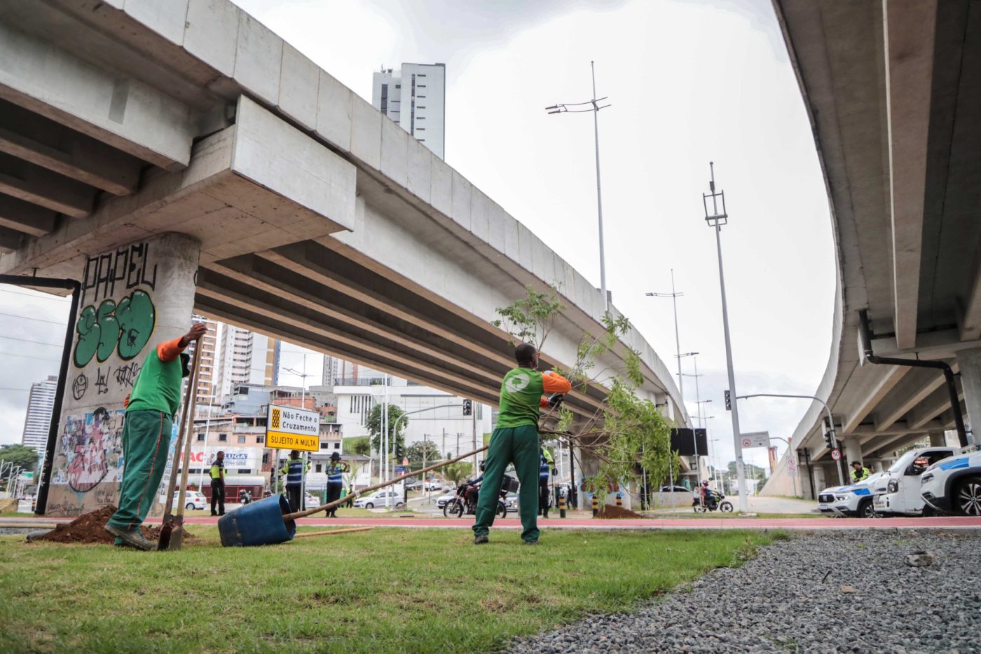 Corredor verde do BRT de Salvador ganha novo plantio de árvores