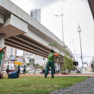 Corredor verde do BRT de Salvador ganha novo plantio de árvores