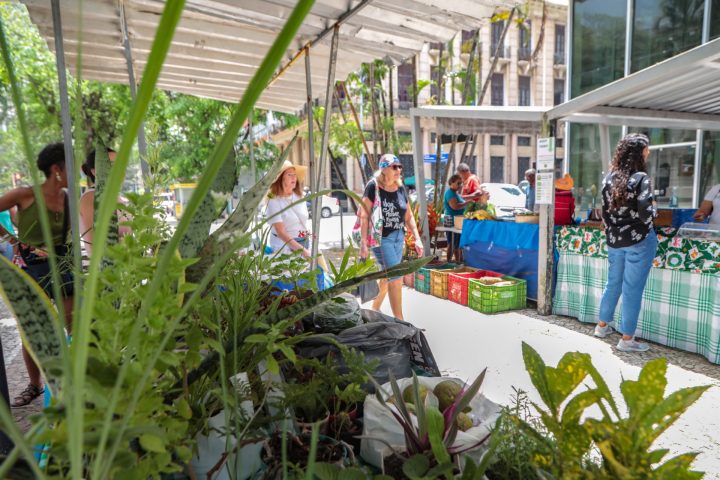 Feira Agroecológica Urbana de Salvador se populariza no Comércio e pode ganhar roteiro fixo em 2025