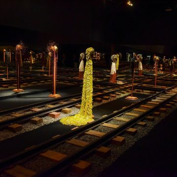 Exposição assinada por Nádia Taquary encanta visitantes no Muncab