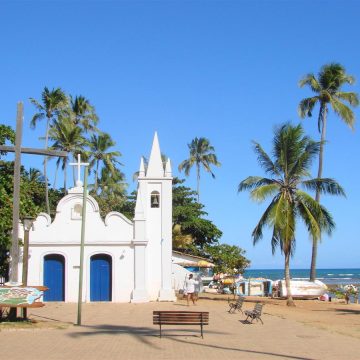 Praia do Forte investe em práticas sustentáveis e de preservação da natureza