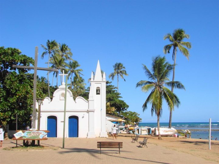 Praia do Forte investe em práticas sustentáveis e de preservação da natureza