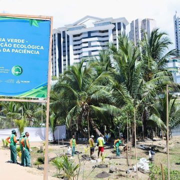 Salvador estreia projeto Praia Verde com restauração ecológica da Paciência, no Rio Vermelho