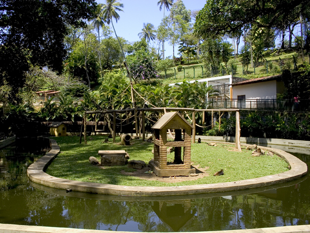 Zoológico de Salvador promove novos passeios noturnos em fevereiro; confira as datas