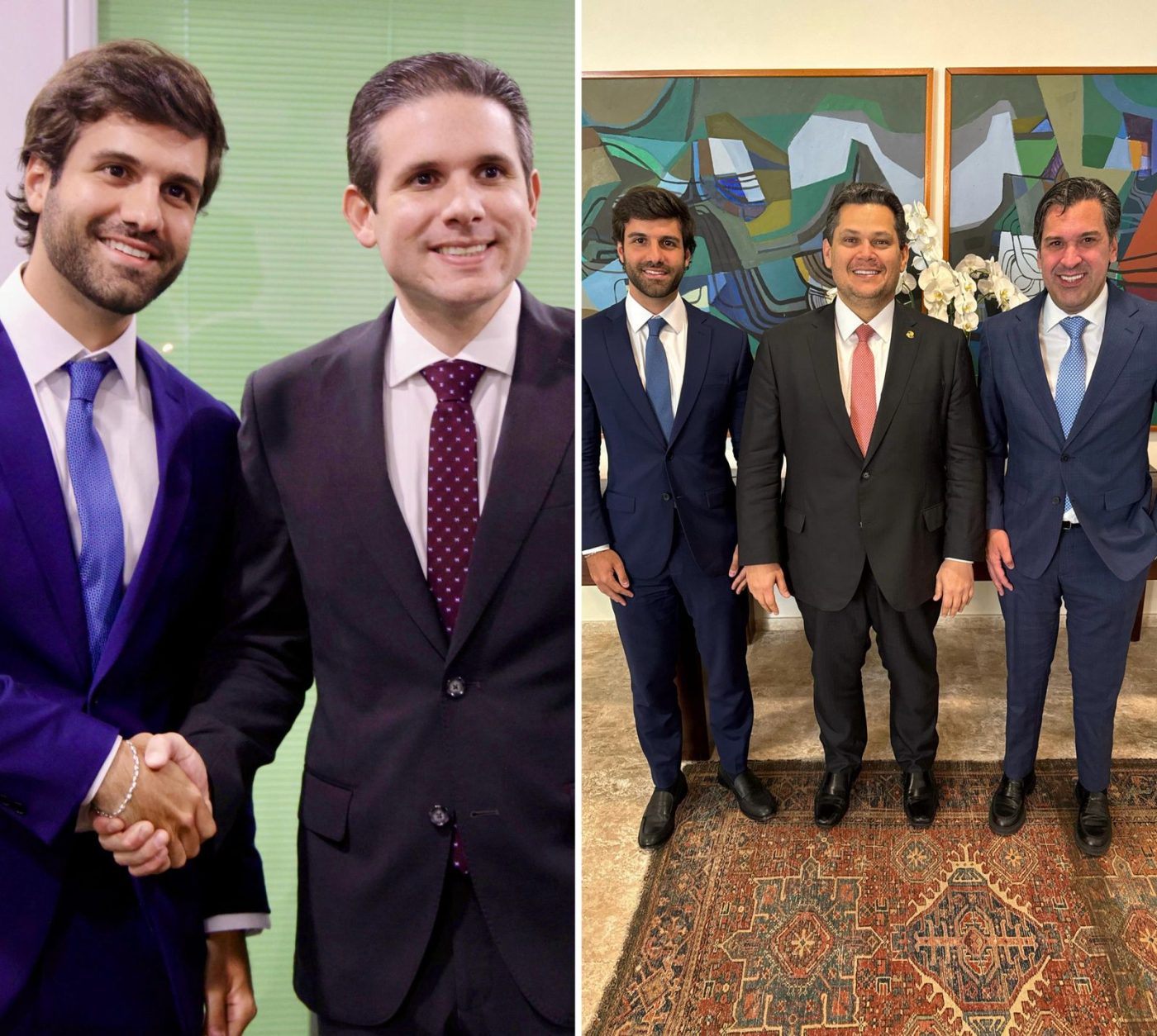 Luiz Eduardo Magalhães Guinle se reúne com presidentes da Câmara e do Senado em Brasília