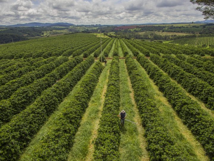 Governo Lula suspende Plano Safra e crédito rural subsidiado; decisão impacta grandes produtores