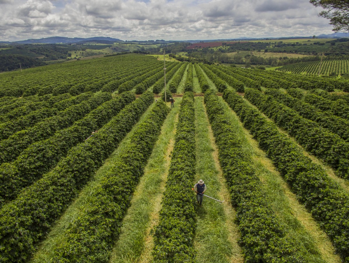 Governo Lula suspende Plano Safra e crédito rural subsidiado; decisão impacta grandes produtores