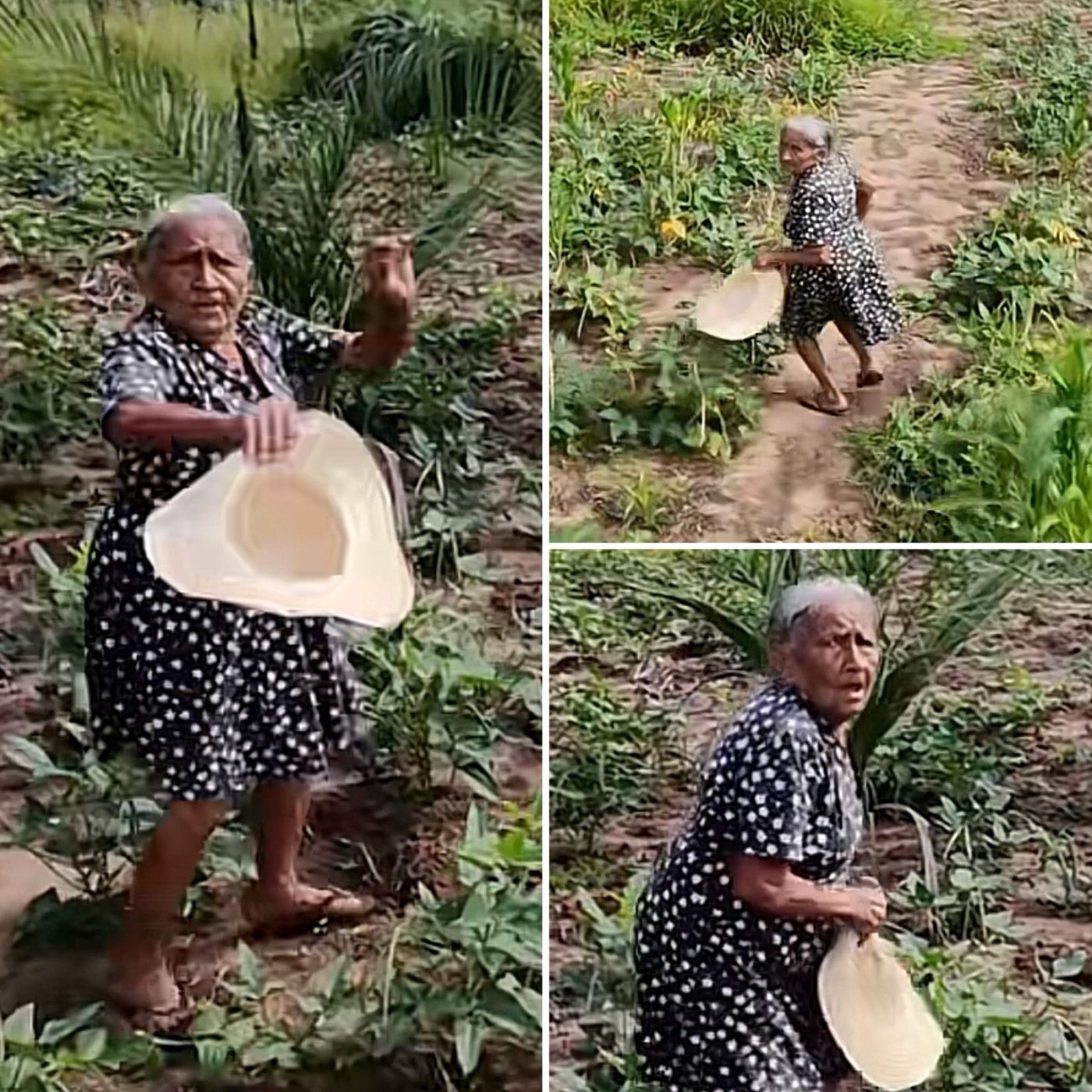 Idosa de 90 anos viraliza ao confundir drone com besouro gigante: ‘Besouro fedorento’