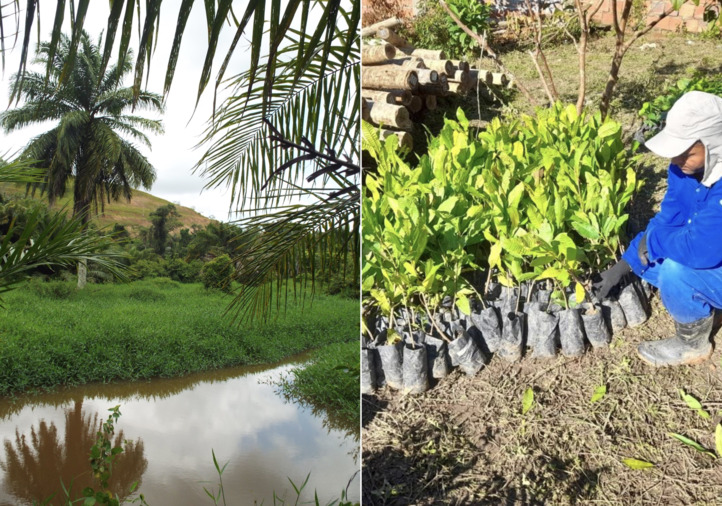 Na Bahia, projeto promove a recuperação da vegetação nas bacias dos rios Joanes e Jacuípe