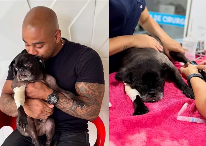 Cezar Black anuncia morte de Rocco, seu cachorro: ‘Não sairá do meu pensamento’