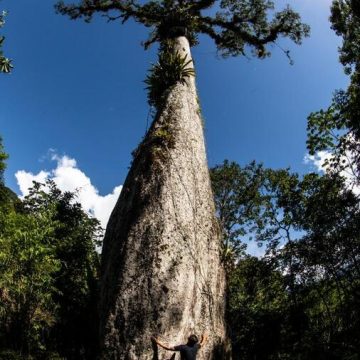 TEDx Praia do Forte promove ação de sustentabilidade no Litoral Norte da Bahia