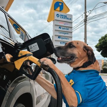 Posto de gasolina adota ‘cão frentista’, transforma pet em mascote do negócio e viraliza nas redes sociais