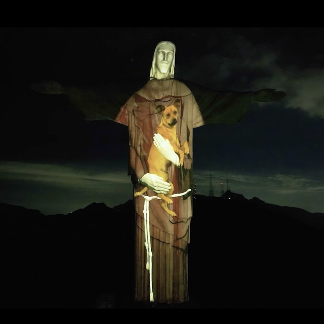 Cristo Redentor abraça vira-lata caramelo em ação por adoção de animais