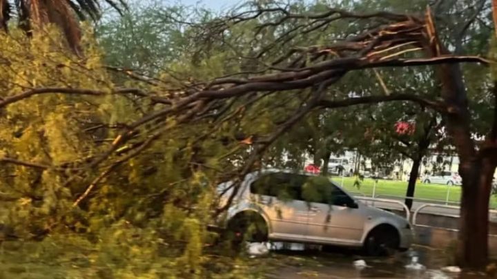 Fortes chuvas causam estragos e deixam moradores desalojados sul da Bahia