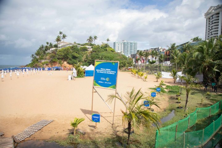 Praia no Rio Vermelho terá manguezal recuperado pela Prefeitura
