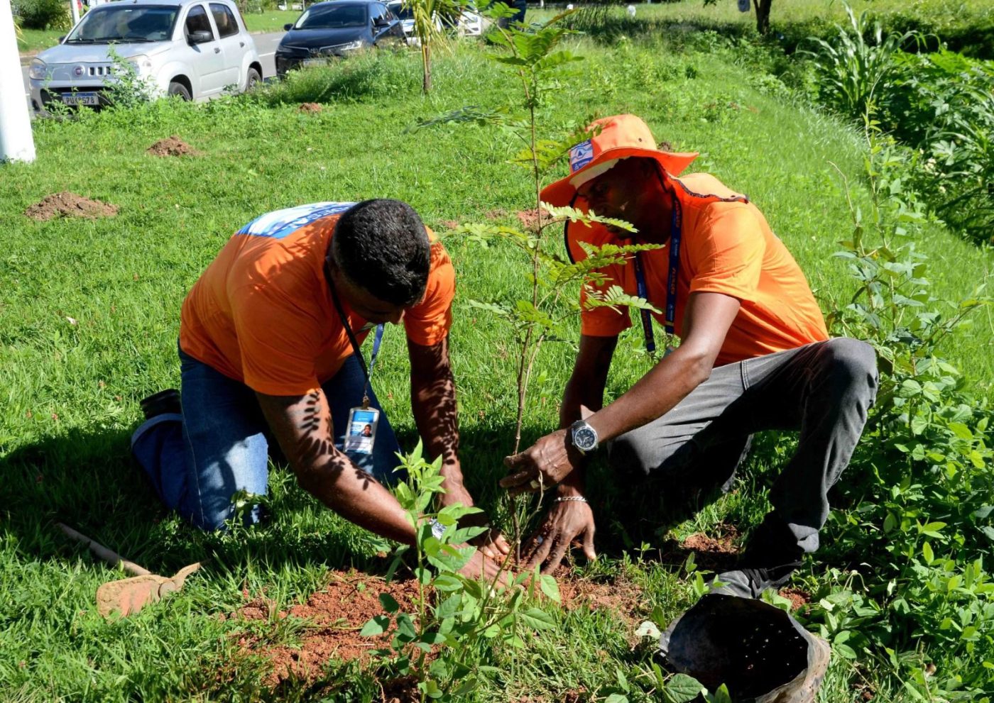 Salvador celebra o Dia da Mata Atlântica com o plantio de 1,2 mil mudas em seis regiões da cidade