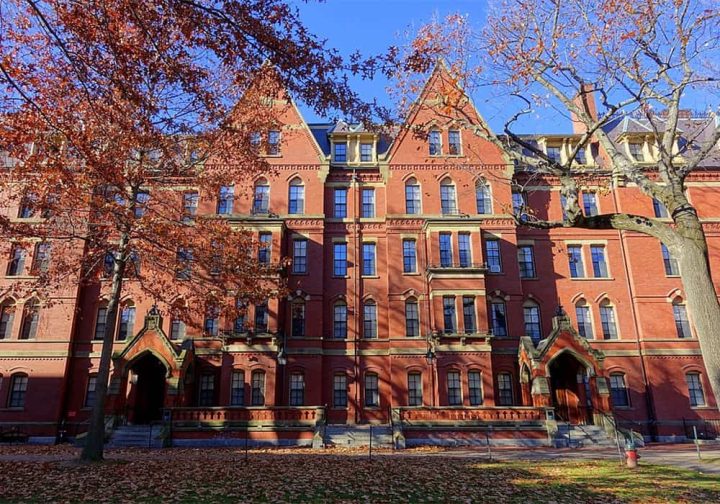 Trump proíbe Harvard de matricular estudantes estrangeiros e ameaça vistos atuais