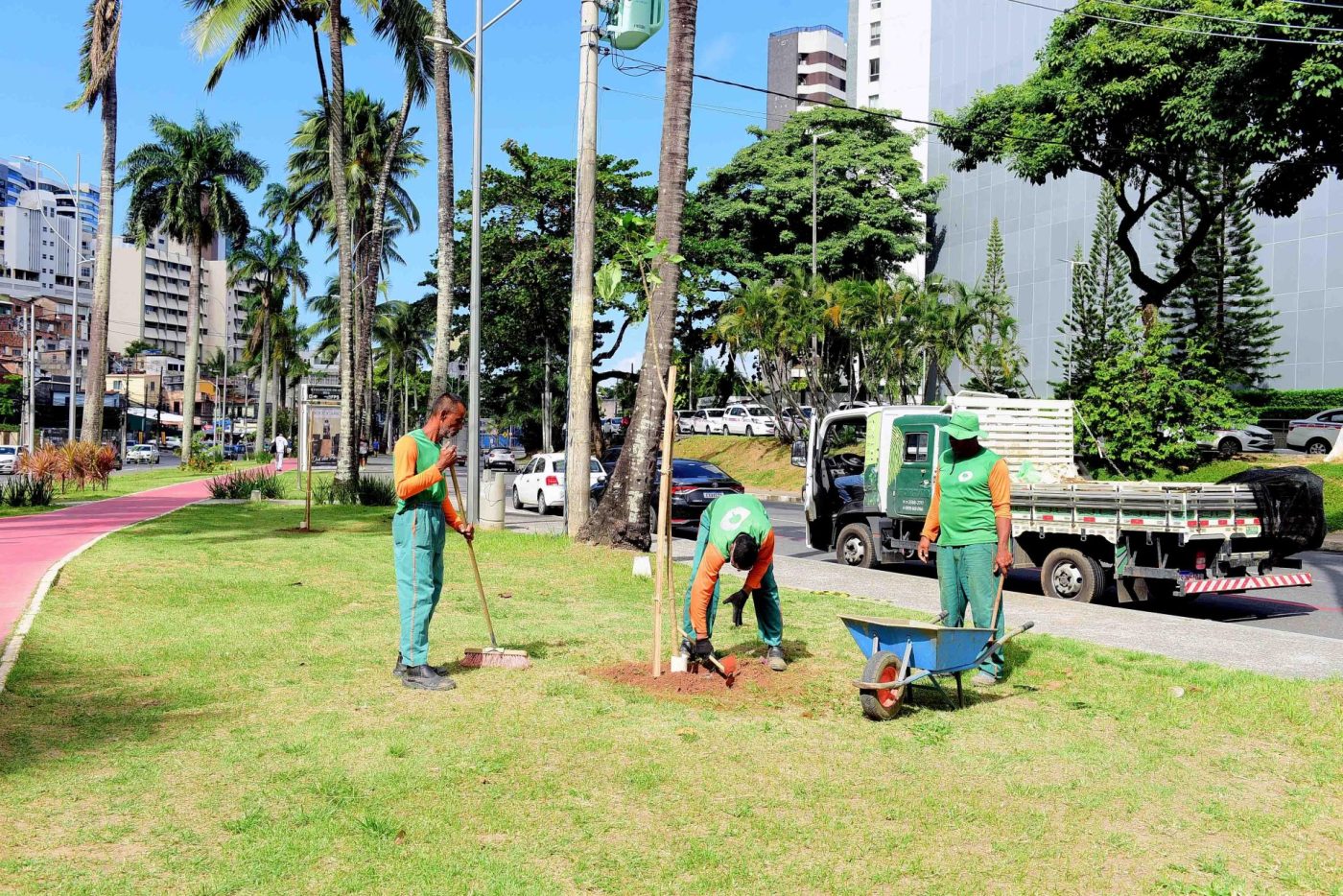 Salvador terá plantio de 1,2 mil mudas em homenagem ao Dia da Mata Atlântica