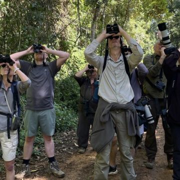Potencial da Bahia para o turismo de observação de aves conquista destaque internacional