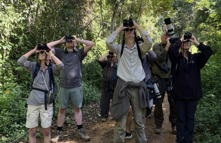 Potencial da Bahia para o turismo de observação de aves conquista destaque internacional