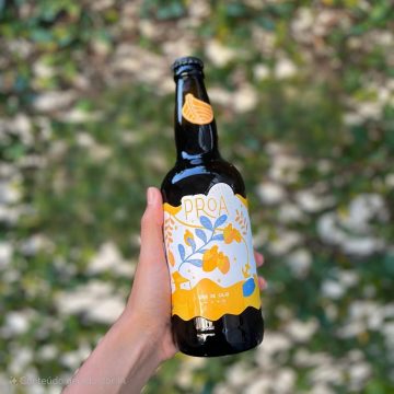 Cerveja baiana se destaca entre as melhores do Nordeste em premiação da Abracerva