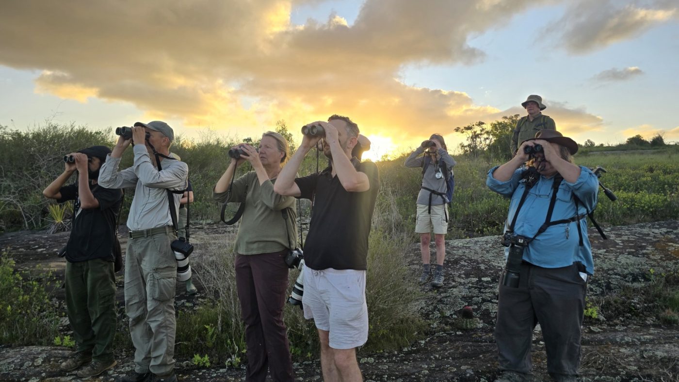 Turismo de natureza: agentes britânicos visitam a Chapada Diamantina para conhecer trilhas de observação de aves