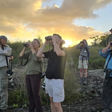 Turismo de natureza: agentes britânicos visitam a Chapada Diamantina para conhecer trilhas de observação de aves