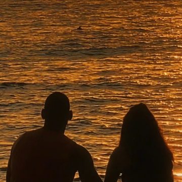 Fotógrafo flagra golfinhos nadando na praia do MAM, em Salvador: ‘Mágico’