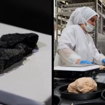 Mais antigo do mundo, pão de 5 mil anos achado após escavação é comercializado na Turquia