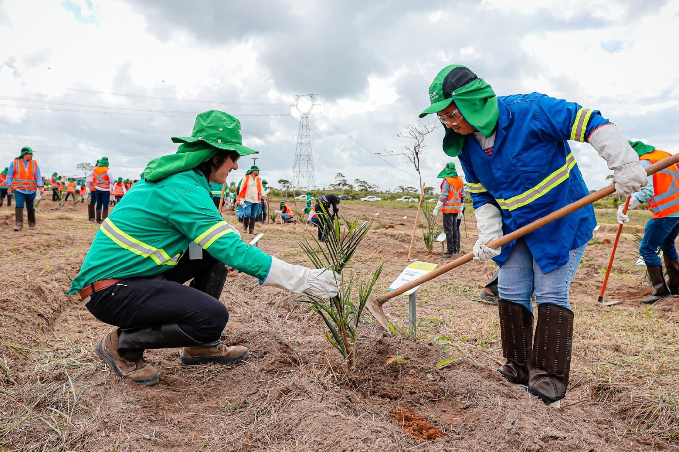 Cachoeira é escolhida para abrigar primeira fazenda-modelo da Acelen