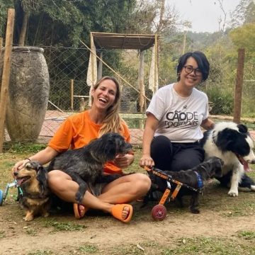 Salvador participa de maior encontro simultâneo de pets com deficiência do Brasil