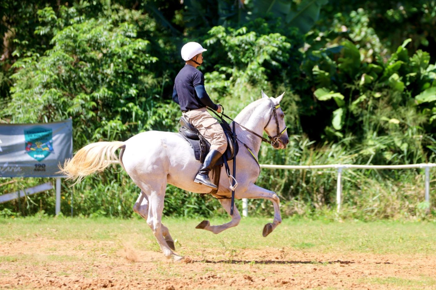 Cavalaria da Polícia Militar baiana celebra 190 anos com programação especial em Salvador