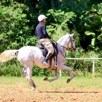 Cavalaria da Polícia Militar baiana celebra 190 anos com programação especial em Salvador