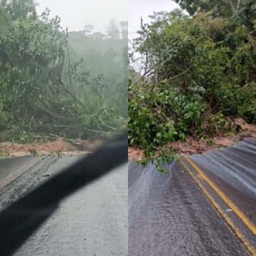 Trecho da BR-110 fica bloqueado por quatro horas após deslizamento de terra