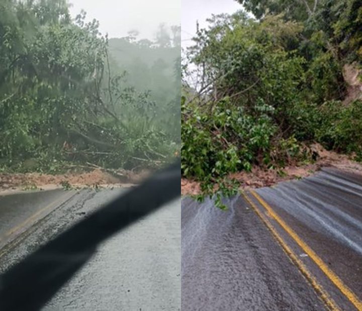 Trecho da BR-110 fica bloqueado por quatro horas após deslizamento de terra