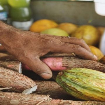 Salvador ganha Feira Agroecológica permanente em maio