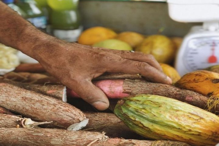 Salvador ganha Feira Agroecológica permanente em maio